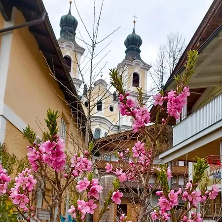 Apartment Rosenberger Hopfgarten im Brixental